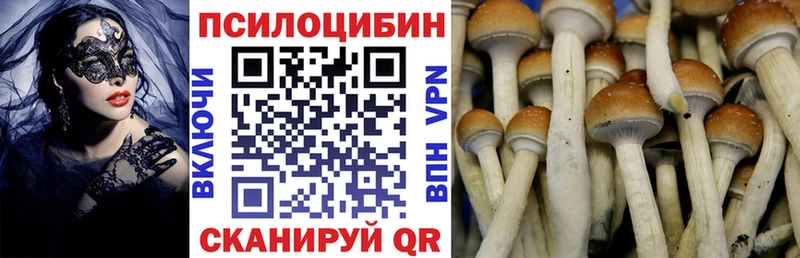 Галлюциногенные грибы MAGIC MUSHROOMS  что такое   Яранск 